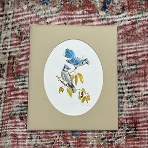 Blue Jay Bird Art Print